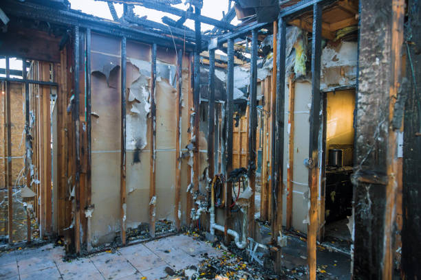Professional Fire Damage Removal technician working in Jackson, WI